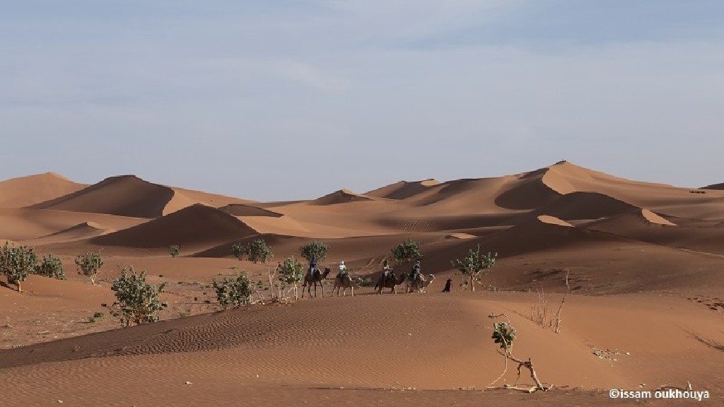 Zagora und der Süden Marokkos lassen grüßen